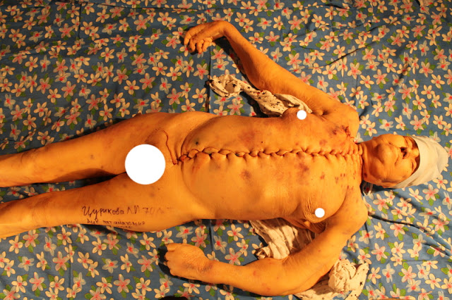 writer Ganova Ludmila author of Russian Monarchy